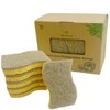 10 Pack Non - Scratch Plant Based Scrub Sponge |