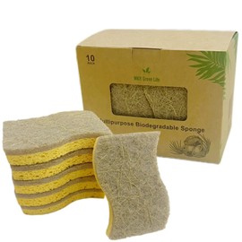 10 Pack Non - Scratch Plant Based Scrub Sponge | Compostable Sponge | Eco Friendly Cellulose and Coconut | Odourless for Dishes and Bathroom | Multipurpose Sponges by MKR Green Life