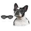 Lesypet Dog Goggles with Replaceable Lenses for Medium Large Breed,