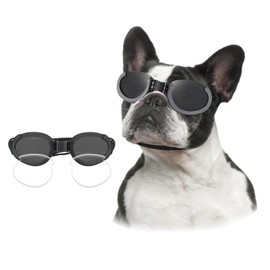 Lesypet Dog Goggles with Replaceable Lenses for Medium Large Breed, Anti-UV Wind Protection Dog Sunglasses Outdoor Motorcycling Driving Eye Protection Pet Sunglasses, Black