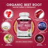 Organic Beet Root Powder Tablets - 2040mg Natural Nitric Oxide