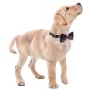 Faleela Soft &Comfy Bowtie Dog Collar,Detachable and Adjustable Bow Tie