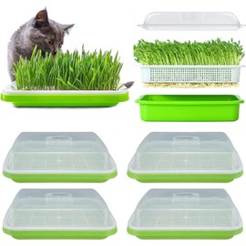 Paquete de 6 bandejas para germinar Semillas con Cubierta, Kit de Bandeja sin BPA para vivero de germinación de Semillas de Doble Capa, cultivador de Pasto de Trigo Saludable sin Suelo