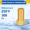 2-PACK GUOFIS Brass Pipe Fittings Female Adapter,1/2"Female x1/2" Male Extension