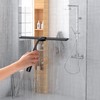 Black 14-Inches Stainless Steel Shower Squeegee Set, Include Shower Door
