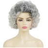 Grey Short Curly Wig Womens Fluffy Natural Looking Wig Synthetic