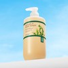 Haraz Kelp Body Wash 500ml - Haraz Kelp Body Wash 500ml / 하라즈 다시마 바디워시 500ml - 하라즈 다시마 바디워시 500ml