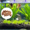 Rainmae 16 Pcs Aquatic Water Plant Fixed Rings, Water Plants