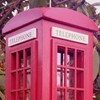 Home Bazaar Telephone Booth Feeder