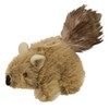 OurPet's PlayNSqueak Backyard Cat Toy Squeaking Squirrel, All Breed Sizes