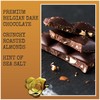 Chocolove Almonds & Sea Salt Dark Chocolate Bars | 55%