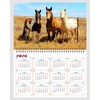 2025 Spiral-bound Wall Calendar (Horses) - 12 Months Desktop/Wall Calendar/Planner