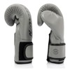 Fairtex BGV14 Grey Muay Thai Boxing Gloves - Size: 8