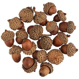 Baker Ross AF927 Natural Acorns Value Pack â Ideal for Kids' Arts and Crafts, Christmas, Sensory Stimulation, and More (Pack of 50)