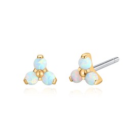 Limerencia F136 Pure Titanium Hypoallergenic Implant Grade Studs, G23 Small Dainty Cubic Zirconia Earrings for Women's Sensitive Ears