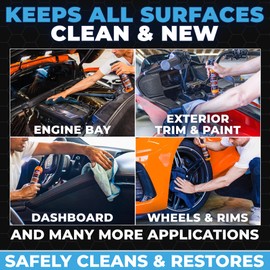 Flowgenix All Purpose Cleaner for Car Detailing - Interior Car Cleaner, Leather, Dashboard, Mat, Seat, Fabric & More - Car Cleaning Supplies (16oz)