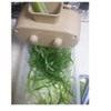 Signim Shallot Shredder Cutter Roller Green Spring Onion Slicer Shredder