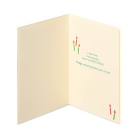 Papyrus Birthday Card (S'more Fun)