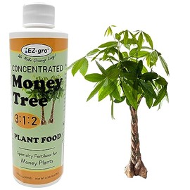 EZ-GRO Professional Liquid Money Tree Fertilizer - 8 oz | Liquid Fertilizer for Money Tree & Houseplants | 3:1:2 Ratio of Concentrated Nutrients for Indoor Plant Food