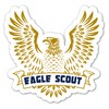 Eagle Scout Decorative Refrigerator Magnet, 20 Mil Thick, 4 x