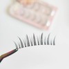 CLEAREYELASH Natural False Eyelashes 3D Matsueku 5 Pairs (D01)