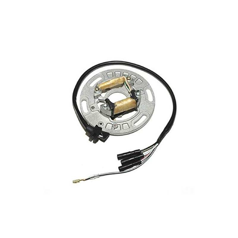 ElectroSport ESC1151 Stator Kawasaki KX250