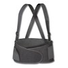 KNEETEK Back Support Belt | M - 78 to 102