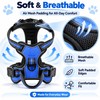Adjustable Reflective Dog Harness for Daily Walks – Soft Breathable
