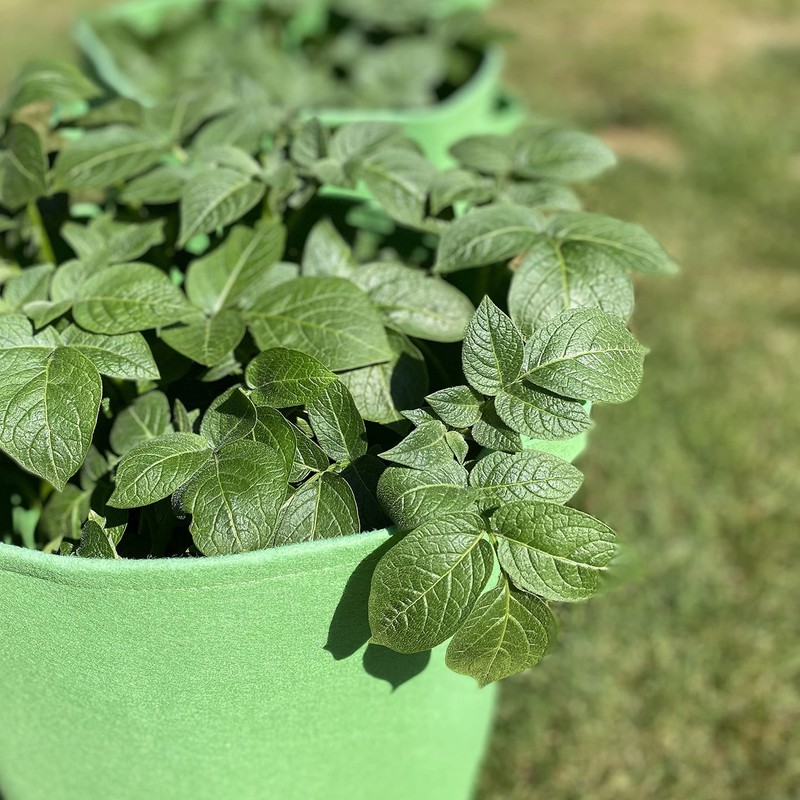 Selections Potato & Vegetable Planter Grow Bags 26 Litre (Pack