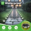 nipify 2 Pack Solar Lights Outdoor Garden, Solar Ground Light,