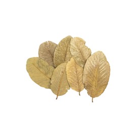 Dried Guava Leaves, Hojas de Guayaba, Loose Guava Leaf Tea 2 oz and 4 oz (4 OZ)