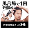 Sios Color Treatment for Men, Ash Black (Gray Hair Dyed)