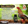 VITOFARMA VITOFARMA Gallobiotic Natural Multivitamin for Rooster, Hens - 100
