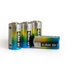 Cotchear 5Count 4LR44 / 476A / PX28A / A544 /