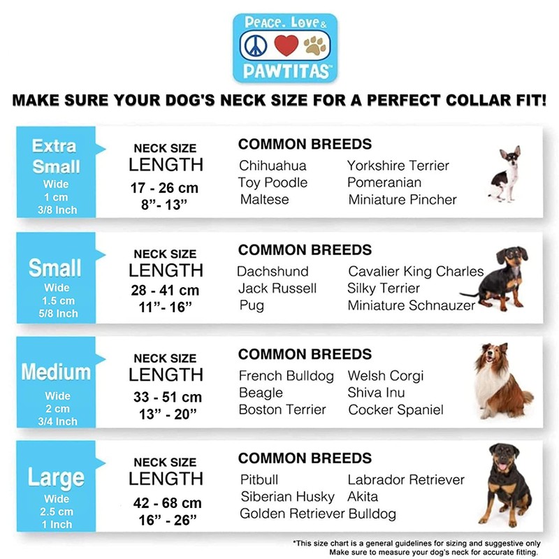 Pawtitas Value Bundle Set | Medium Dog Harness + Medium