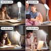 Akejrym LED Desk Lamp for Office Home & Battery Operated