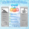 Pack of 12 Reusable Water Bombs with Mesh Bag -
