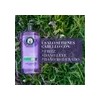 Shampoo Herbal Essences Antifrizz Lavanda & Aceite de Almendras 600