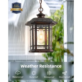 VIANIS Large Outdoor Pendant Lights for Porch, Bronze Hanging Porch Light, Waterproof Hanging Porch Light for House, Garden, Front Porch, Anti-Rust, 100% Aluminum, Seed Glass