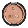 FV Premium Blush, Long Lasting & Light Feel, Silky Soft