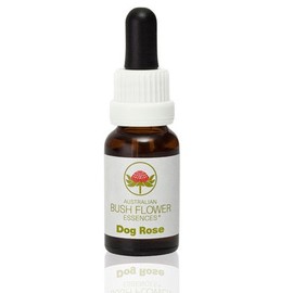 ABFE Dog Rose 15ml