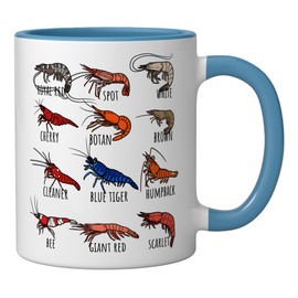 Different Type Shrimp Varieties Chart for Seafood Lovers Ceramic Mug, Blue/White