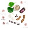 Suplemento Para Rutina Digestiva DUO FRI TIBA SALUD