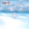 limerencia 18G Tragus Piercing, Medical Titanium Lip Piercing, Hypoallergenic Helix