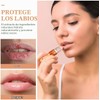 Ipetboom Brillo De Kissing Fruit Gloss - Juego De 6