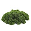 Artificial Green Moss for Crafts, 5.3 oz, Preserved Faux Moss