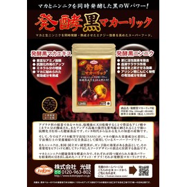 光健 発酵黒マカーリック マカ にんにく 亜鉛酵母 サプリ 120粒 約30日分