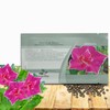Outsidepride Red Picotee Morning Glory Seeds - 50 Pcs. Annual,
