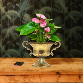 Ciieeo Vintage Metal Flowerpot Decorative Vase for Tabletop Display Retro Iron Plant Pot for Home Office and Event Decor for Dried Flowers and Bouquets