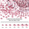 BELICEY 6000Pcs Resin Crystals Rhinestone Kit Light Pink 2/3/4/5/6mm Flatback